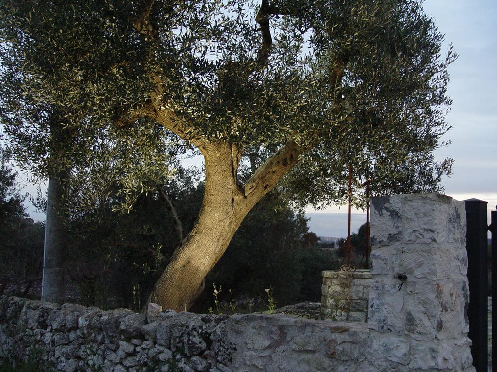 Trullo Sereno Angelo Villa Locorotondo Exterior photo